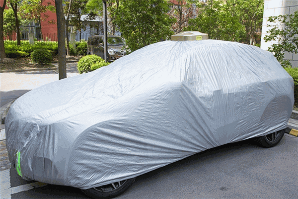 鴻雀王智能自動車衣加盟