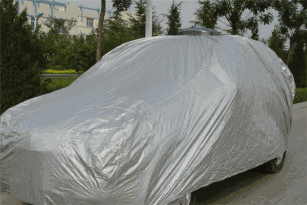 鴻雀王智能自動車衣加盟