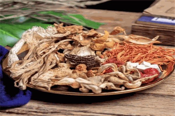 百菌堂中醫(yī)養(yǎng)生加盟