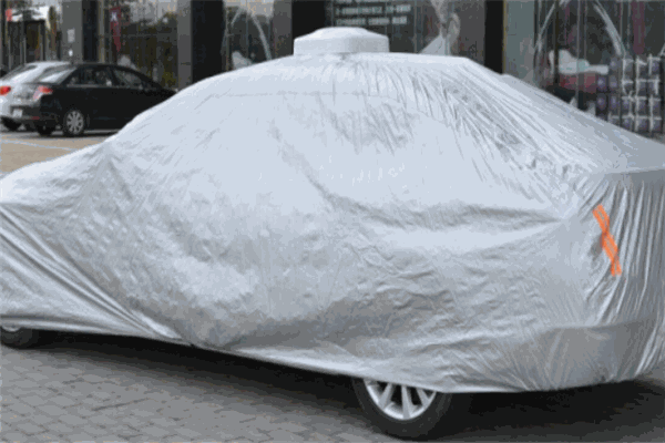 施華萊全智能遙控智能車(chē)衣加盟