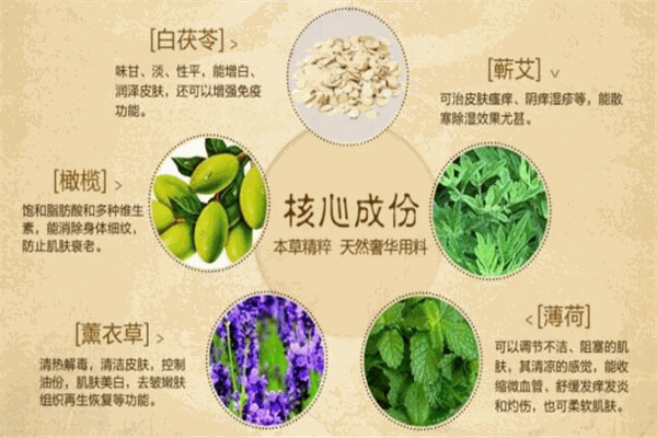 麗特植物活性酶加盟