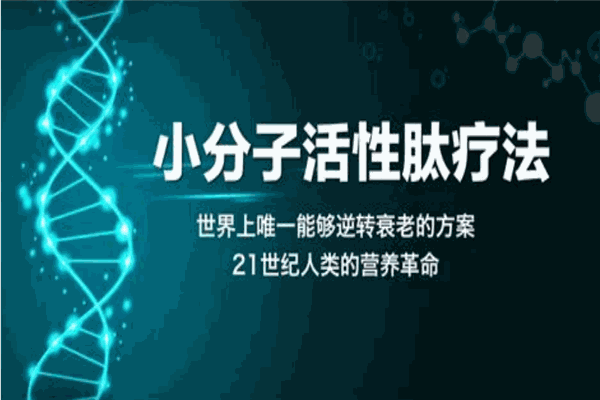 麗特植物活性酶加盟