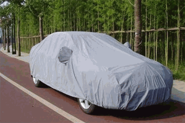 型車時(shí)代智能車衣加盟