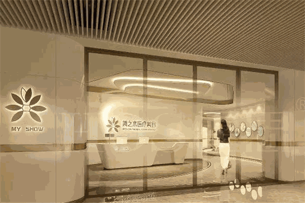 美之術(shù)醫(yī)療美容加盟