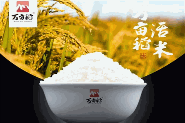 萬畝稻鮮米小棧加盟