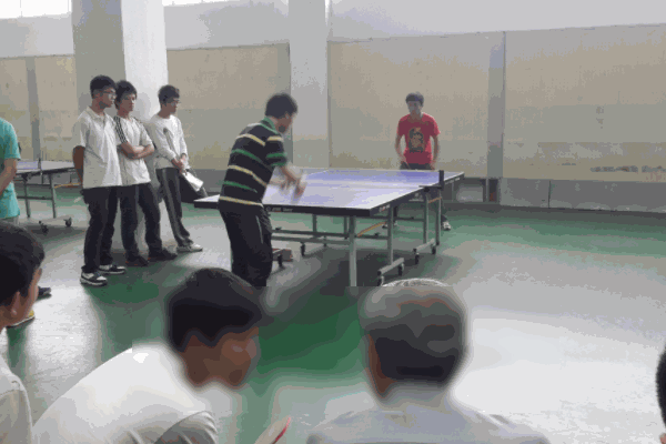 樂(lè)旋乒乓