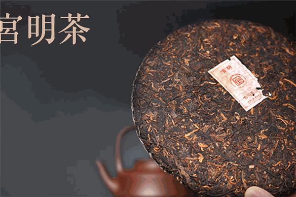宮明茶葉加盟
