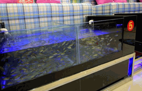 親親魚(yú)足療