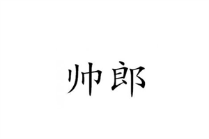 帥郎集成灶加盟