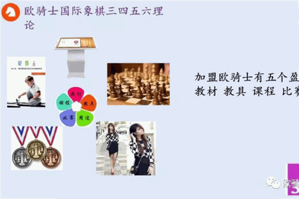 歐騎士國(guó)際象棋加盟