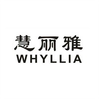 慧麗雅美容加盟