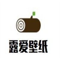 露愛壁紙加盟