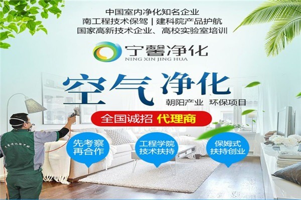 寧馨凈化除甲醛加盟