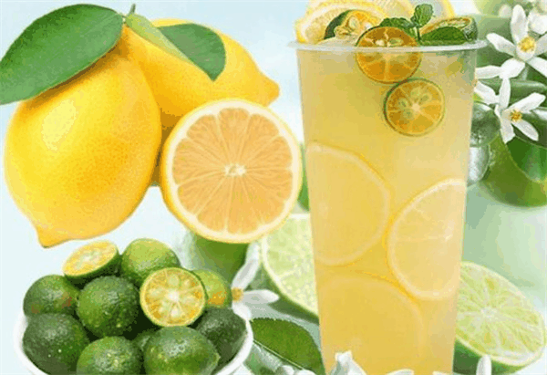 檸檬季奶茶