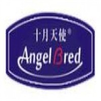 十月天使紙尿褲加盟