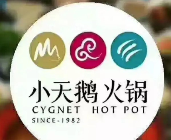 小天鵝火鍋店加盟