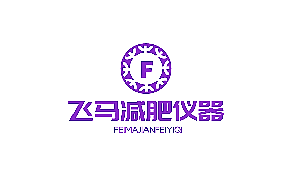 飛馬減肥儀器加盟