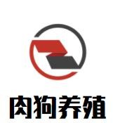 肉狗養(yǎng)殖加盟
