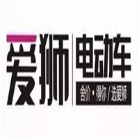 愛獅電動(dòng)車加盟