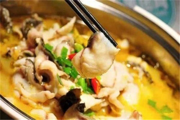 魚知己金湯酸菜魚加盟