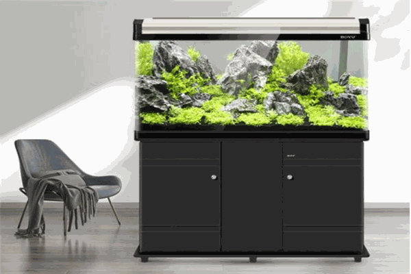 博宇水族箱加盟