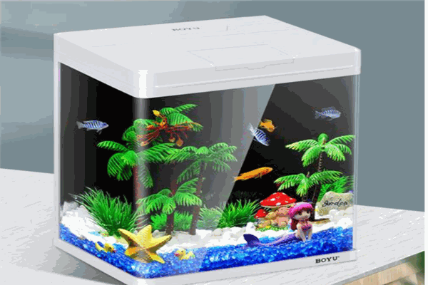 博宇水族箱加盟