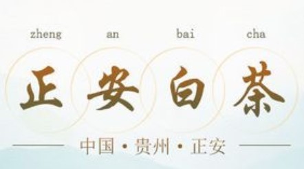正安白茶加盟