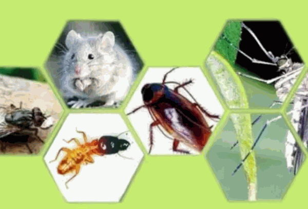 天宇有害生物防治加盟