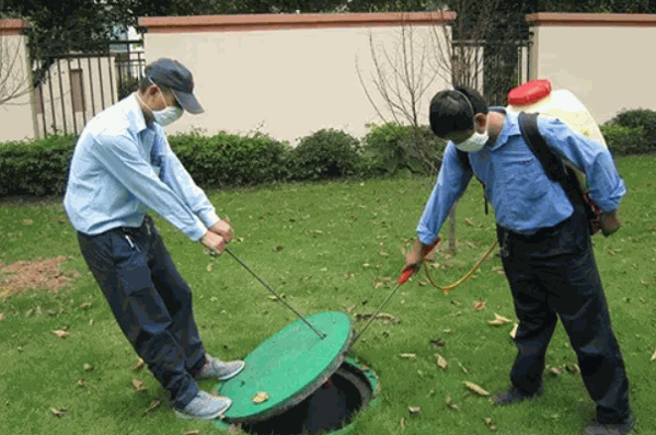 天宇有害生物防治加盟