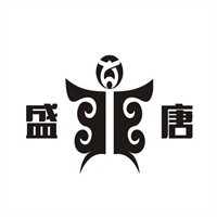 盛唐汽車(chē)內(nèi)飾改裝加盟