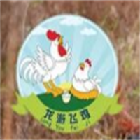 龍游飛雞加盟