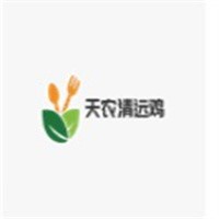 天農(nóng)清遠(yuǎn)雞加盟
