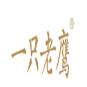 一只老鷹近視加盟