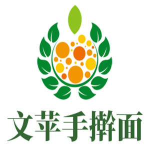 文蘋手搟面加盟