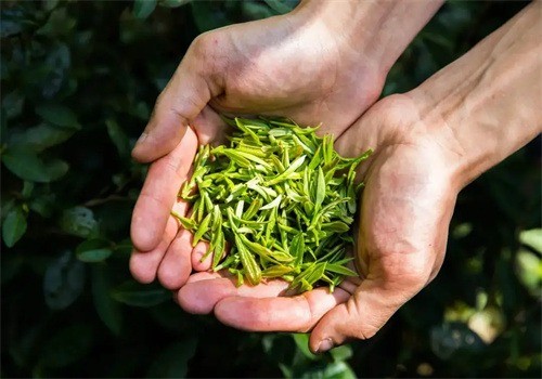 雅境茶業(yè)加盟