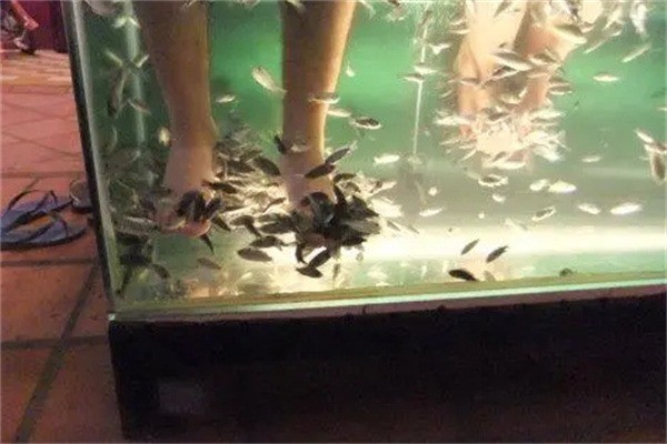 小魚(yú)洗腳加盟