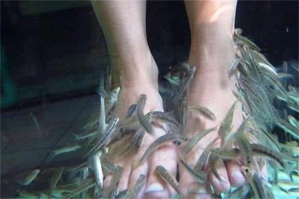 小魚(yú)洗腳加盟