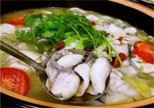家來旺石鍋魚加盟