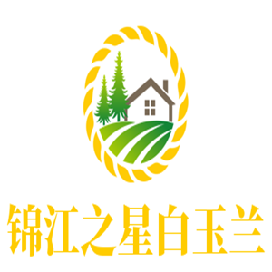 錦江之星白玉蘭酒店加盟