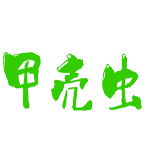 甲殼蟲童裝加盟