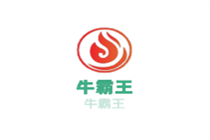 牛霸王牛肉粉加盟
