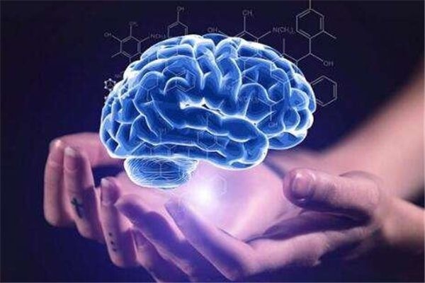 中成啟元全腦潛能開(kāi)發(fā)加盟