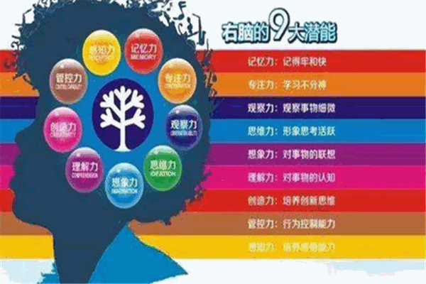 中成啟元全腦潛能開(kāi)發(fā)加盟