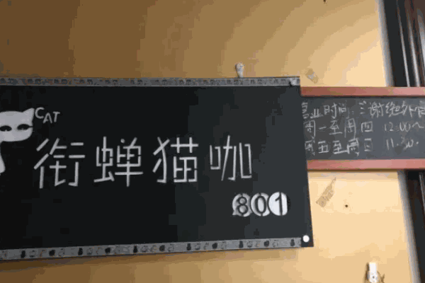 銜蟬貓咖加盟