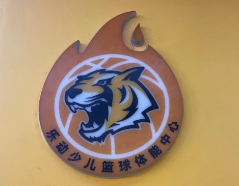 樂動(dòng)少兒籃球體能中心加盟