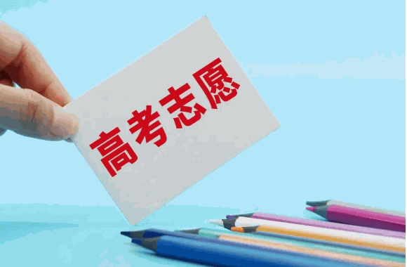 高考圈高考志愿填報咨詢