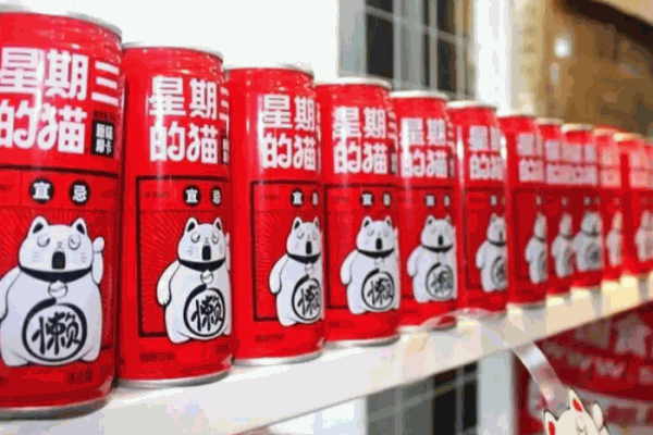 星期三的貓加盟
