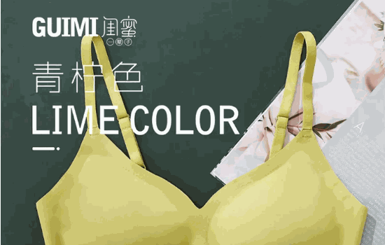 閨秘內(nèi)衣