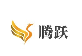 騰躍加盟