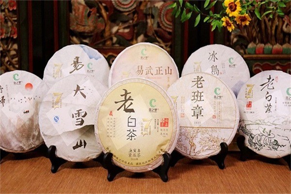 茶之夢加盟